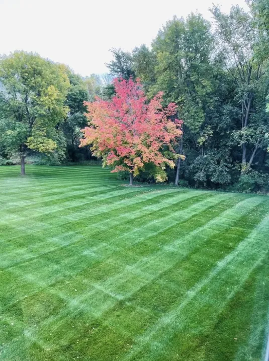 AJ Properties Lawn Care example image 3